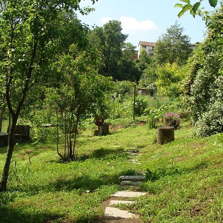 Appartamento In Monferrato Di Dominga Portacomaro Eksteriør bilde