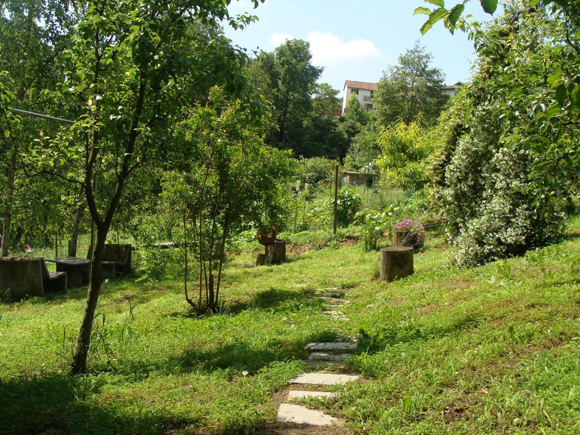 Appartamento In Monferrato Di Dominga Portacomaro Eksteriør bilde