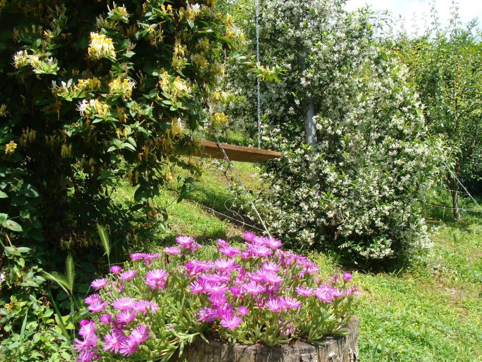 Appartamento In Monferrato Di Dominga Portacomaro Eksteriør bilde